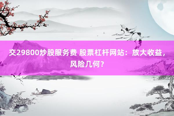 交29800炒股服务费 股票杠杆网站：放大收益，风险几何？