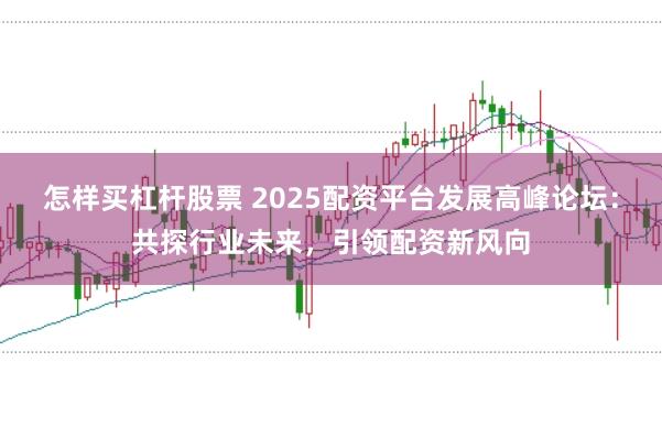 怎样买杠杆股票 2025配资平台发展高峰论坛：共探行业未来，引领配资新风向