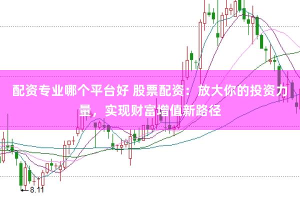 配资专业哪个平台好 股票配资：放大你的投资力量，实现财富增值新路径