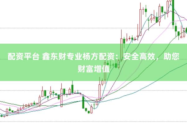 配资平台 鑫东财专业杨方配资：安全高效，助您财富增值