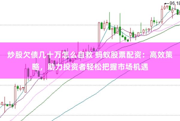 炒股欠债几十万怎么自救 蚂蚁股票配资：高效策略，助力投资者轻松把握市场机遇