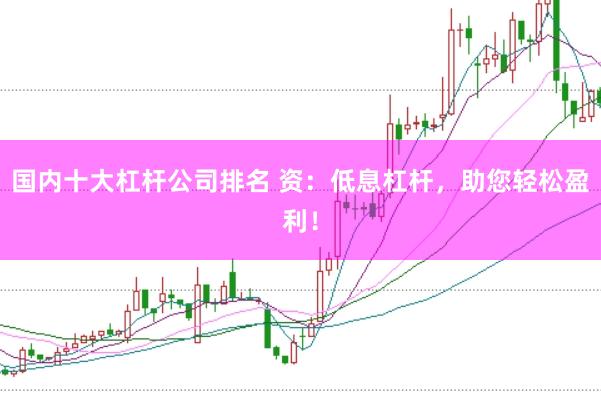 国内十大杠杆公司排名 资：低息杠杆，助您轻松盈利！
