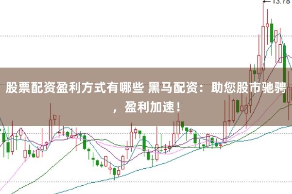 股票配资盈利方式有哪些 黑马配资：助您股市驰骋，盈利加速！