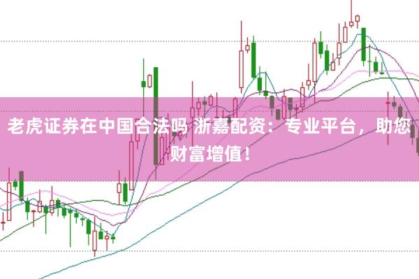 老虎证券在中国合法吗 浙嘉配资：专业平台，助您财富增值！