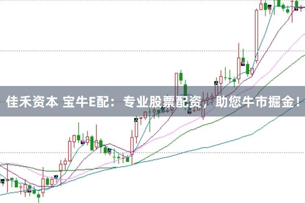 佳禾资本 宝牛E配：专业股票配资，助您牛市掘金！