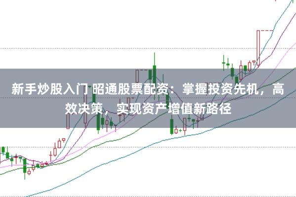 新手炒股入门 昭通股票配资：掌握投资先机，高效决策，实现资产增值新路径