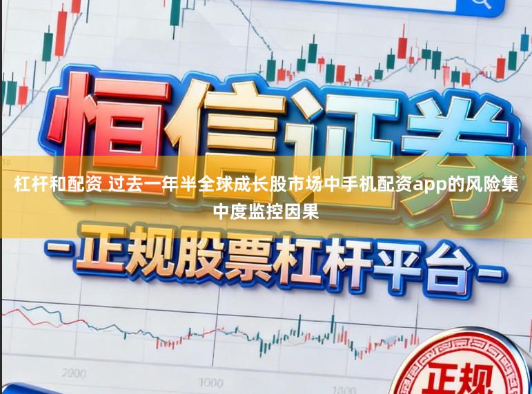 杠杆和配资 过去一年半全球成长股市场中手机配资app的风险集中度监控因果