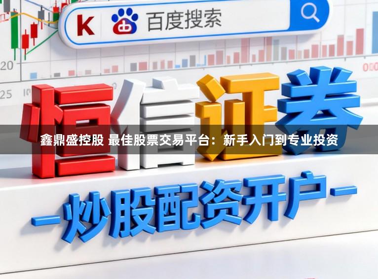 鑫鼎盛控股 最佳股票交易平台:新手入门到专业投资